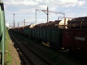 Затримані у Львові ешелони з лісом відправлять на перевірку в Чернівецьку область