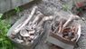 У центрі Львова розкопали людські кістки під час прокладання кабелю