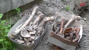 У центрі Львова розкопали людські кістки під час прокладання кабелю