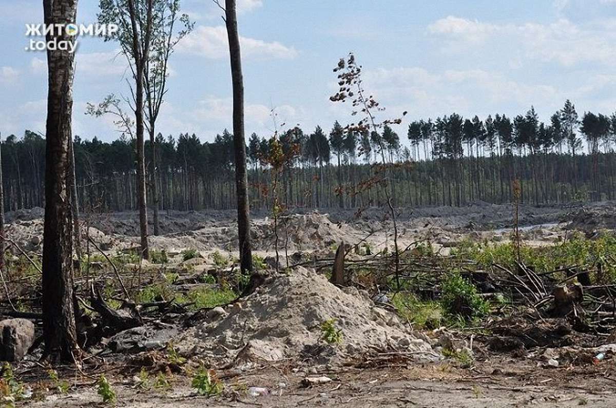 На Житомирщині сталася перестрілка між мешканцями села і заїжджими бурштинокопачами