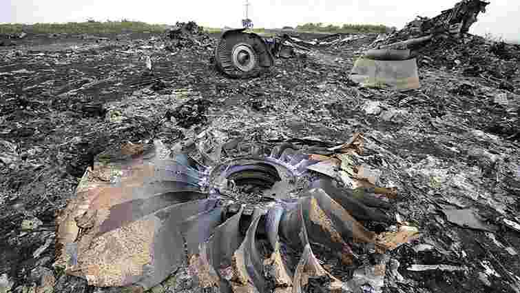 Результати розслідування авіакатастрофи рейсу MH17 опублікують восени