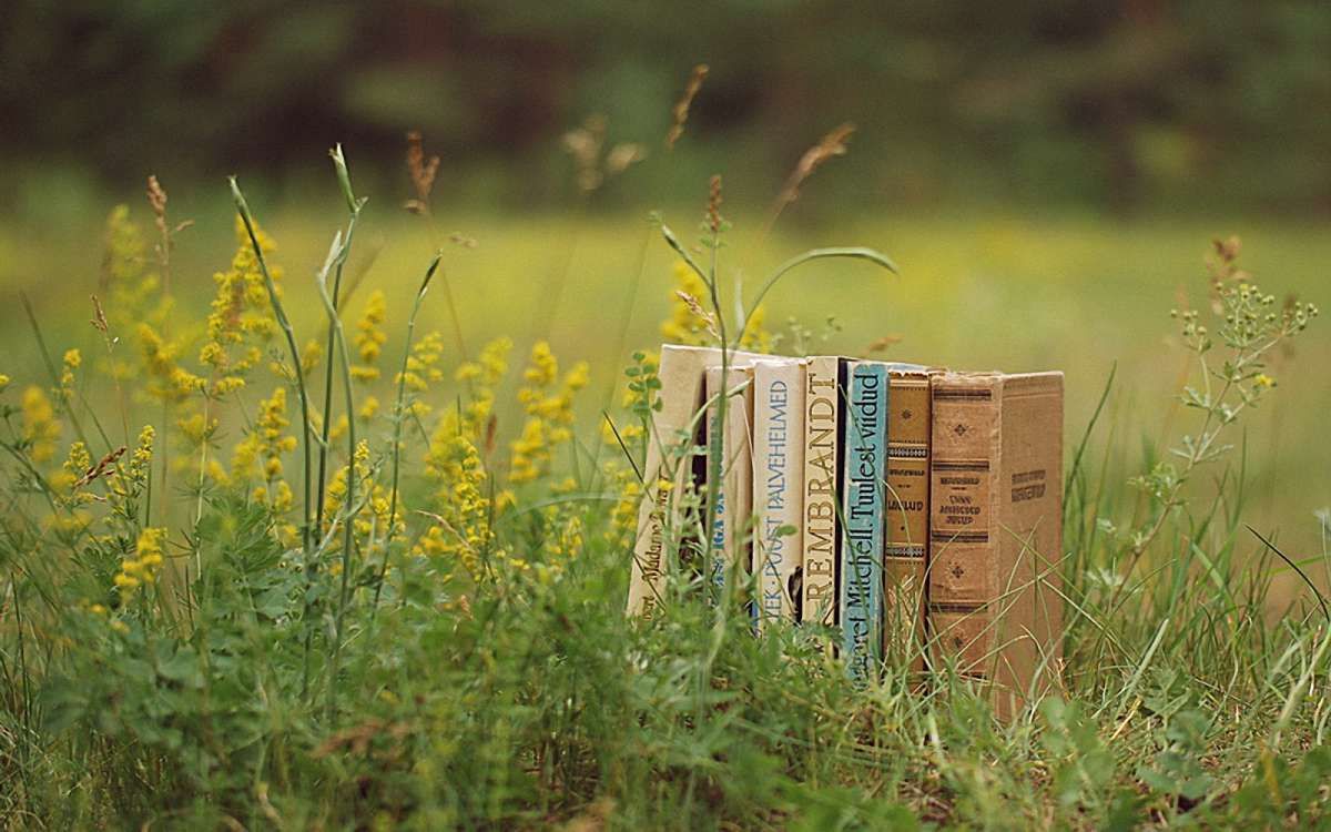 Літо, море, книжка