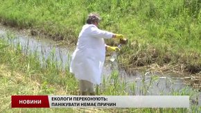 Екологи перевіряють якість води та повітря у Львові