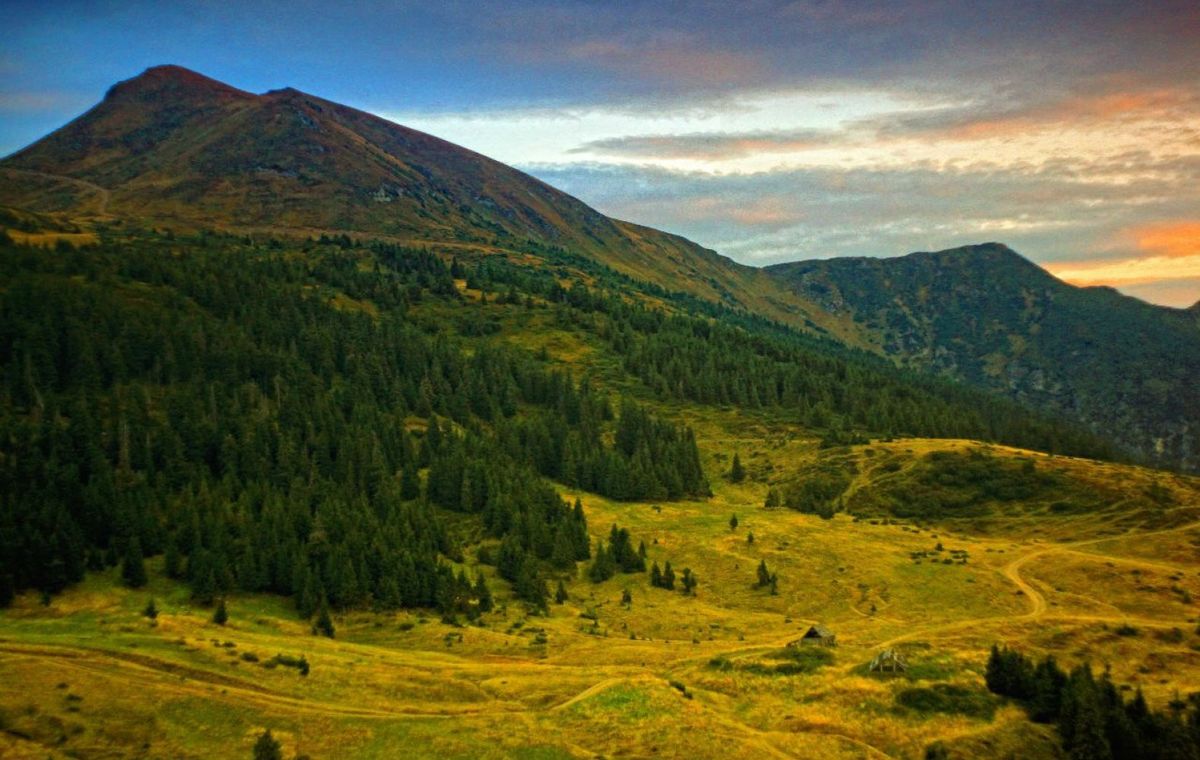 Незабуте кіно