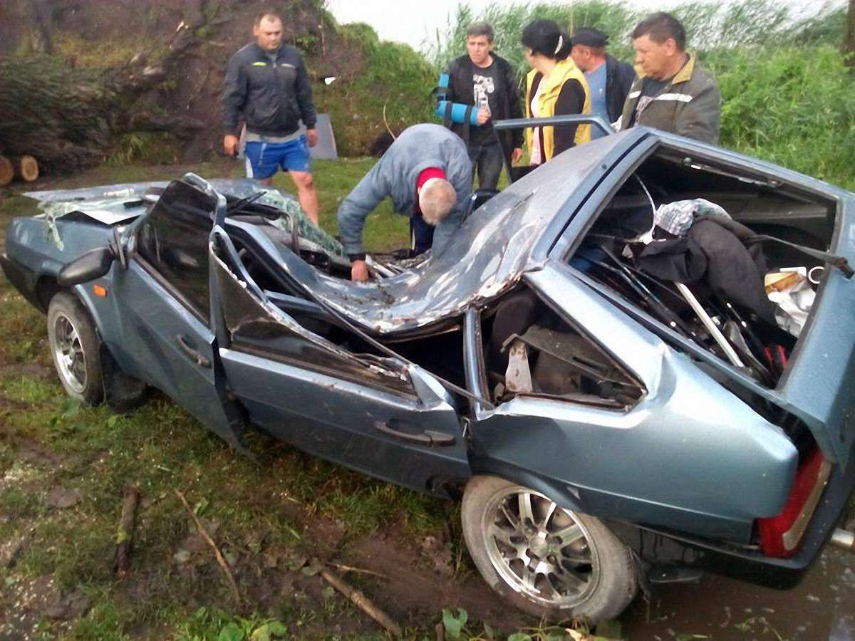 У Золочеві рятувальники вивільнили чоловіка з авто, на яке впало дерево