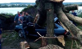Повалені негодою дерева заблокували на Львівщині рух залізницею та автодорогами