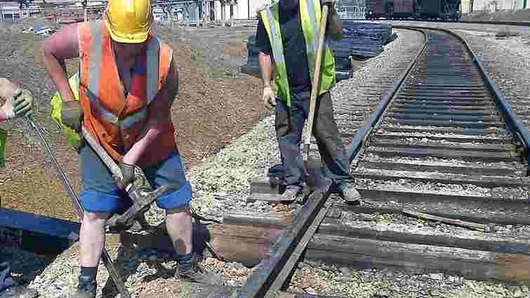 Путін запропонував реалізувати проект  Ілона Маска в Приамур'ї