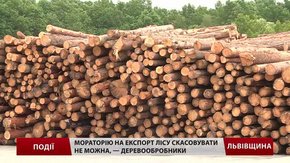 Мораторію на експорт лісу скасовувати не можна, – деревообробники