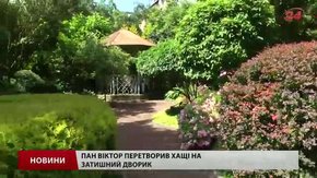 У Львові приймають заявки на конкурс найкраще озелененого подвір’я