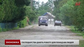 На 700 хат – 24 підприємці: як господарюють у селі на Львівщині 
