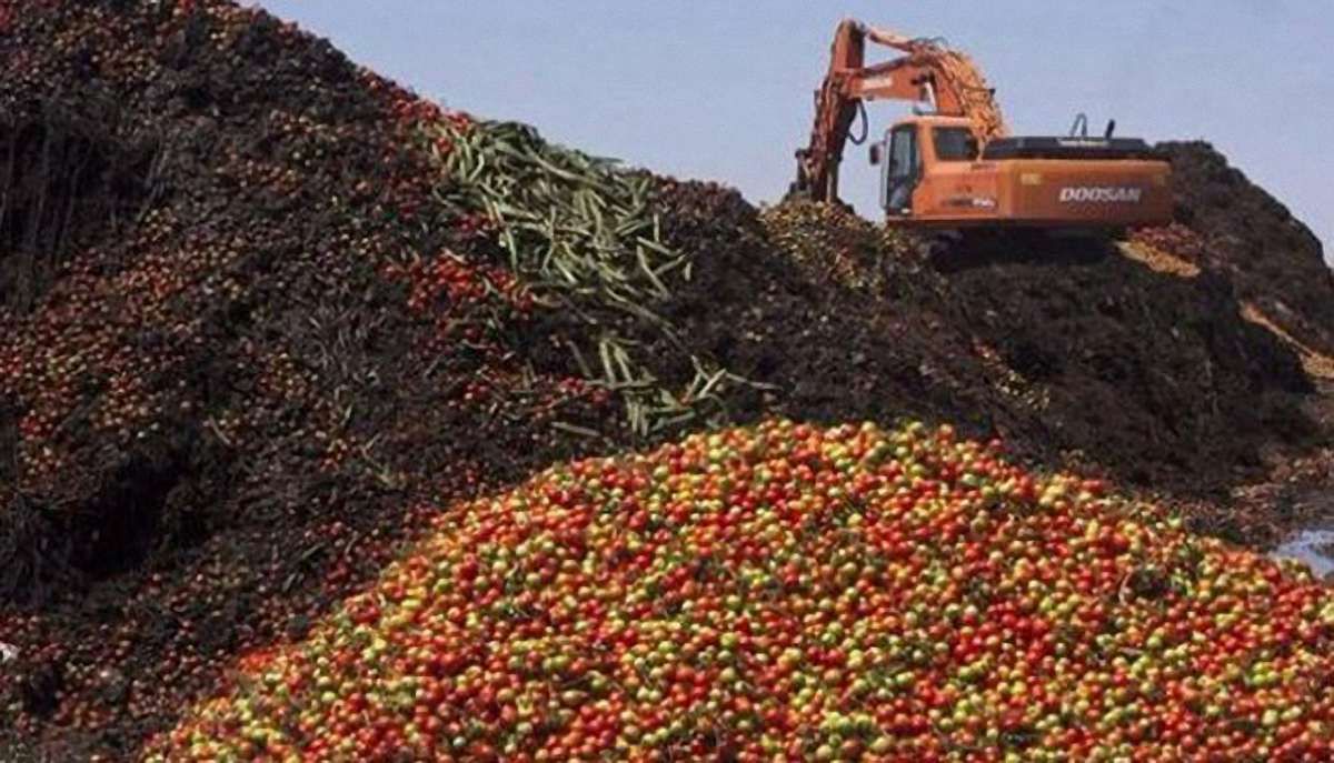 У Самарі бульдозерами розчавили майже 27 тон української і польської черешні