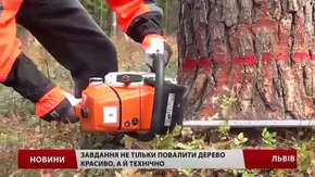 Рекорд лісоруба з Радехівського лісництва вже 14 років ніхто не може побити