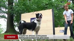У львівському парку собаки тестують тренувально-вигульний майданчик