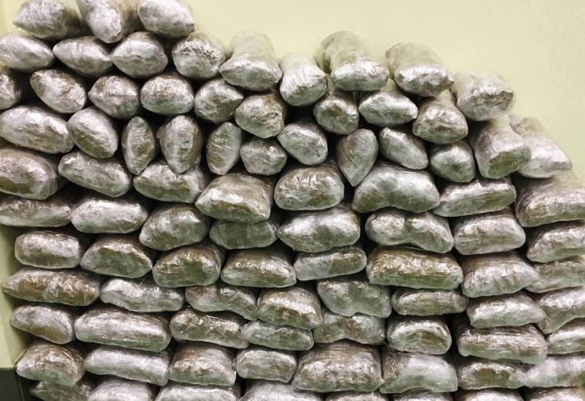 Польські митники затримали українця із 27 кг марихуани