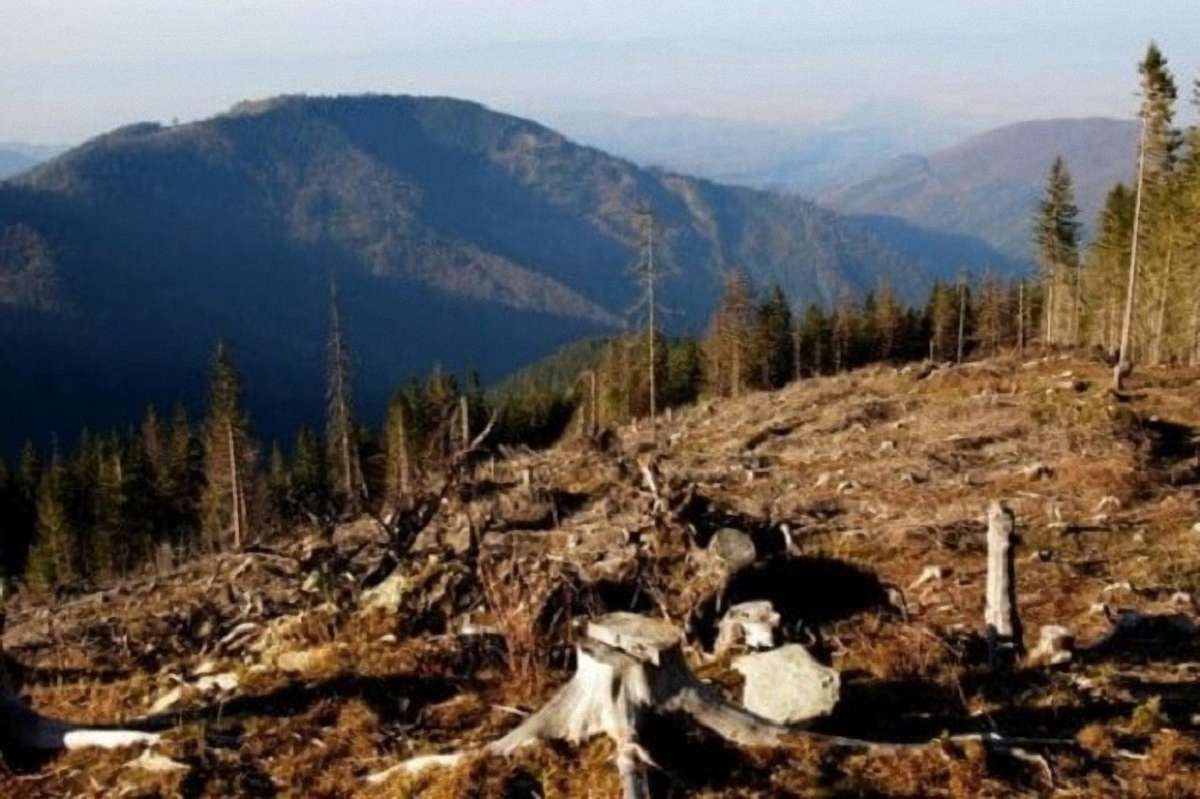 Карпатська різанина