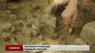 Біля Львова знайшли сліди доєгипетської цивілізації