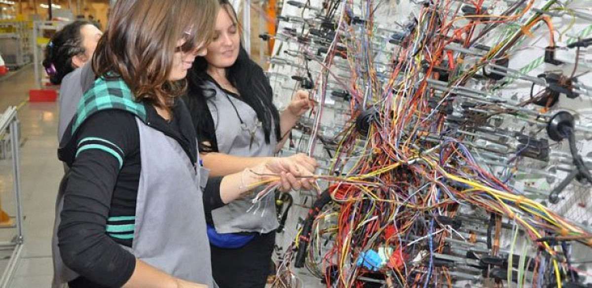 Французька компанія Nexans почала будівництво третього заводу у Львівській області