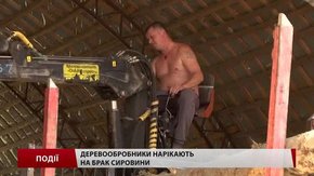 Деревообробники нарікають на брак сировини