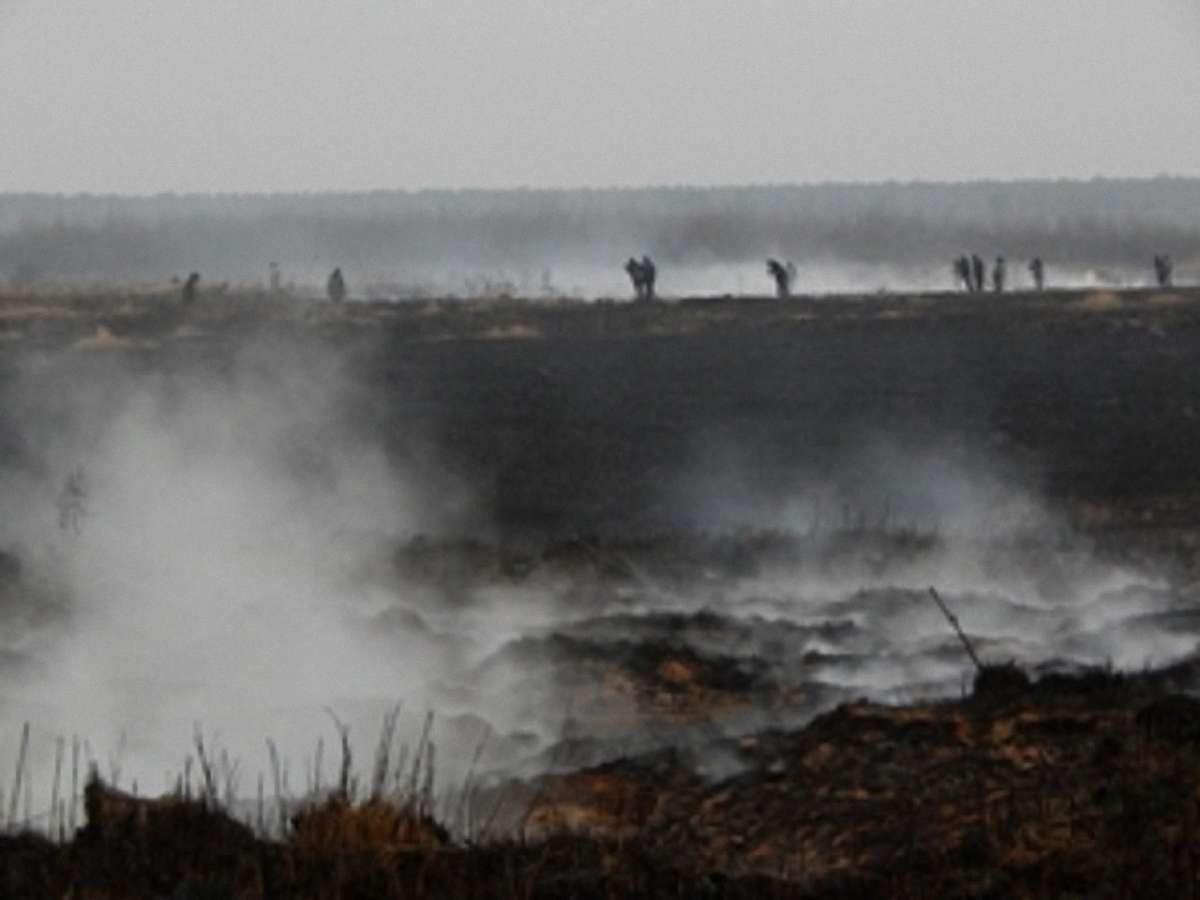 На Львівщині третій день гасять пожежу на торфовищі