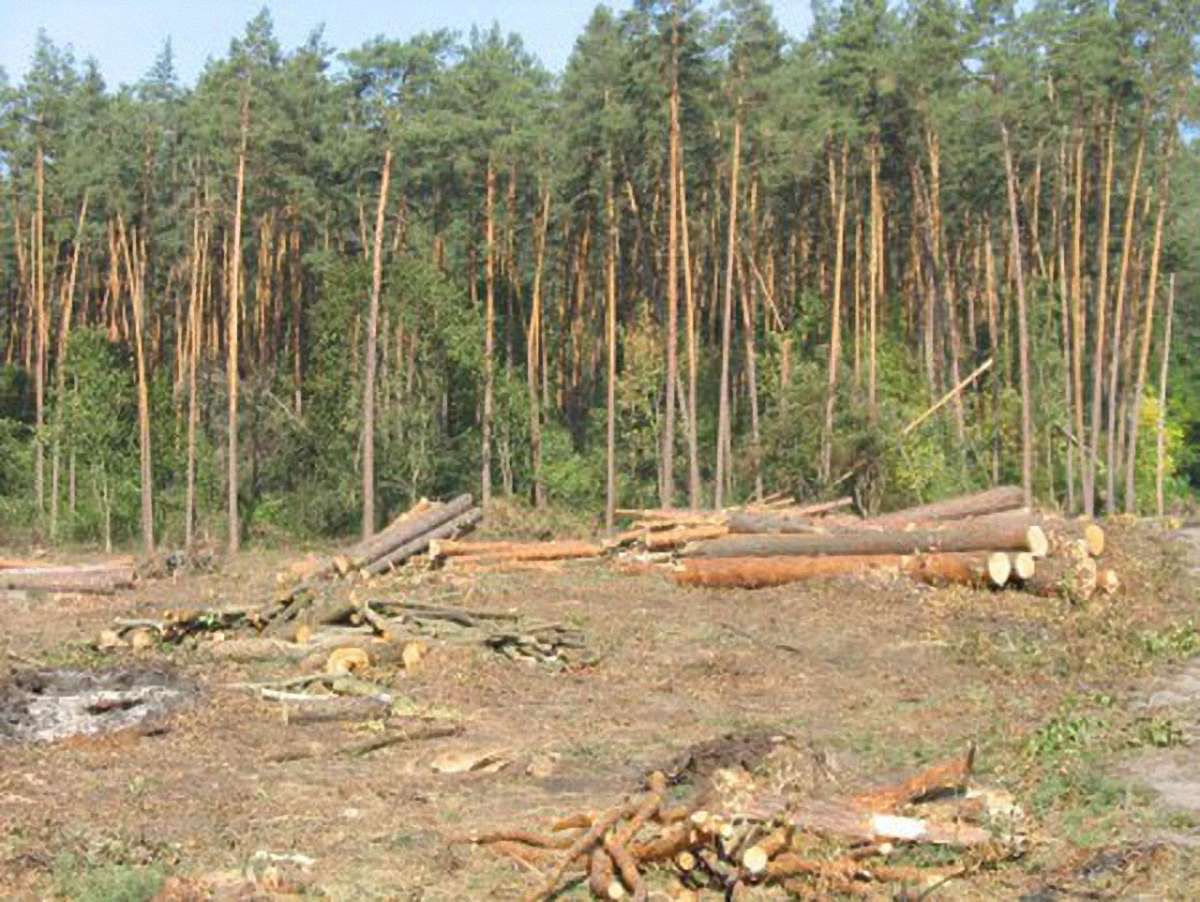Чиновники Бучанської міськради завдали державі збитків на ₴42 млн