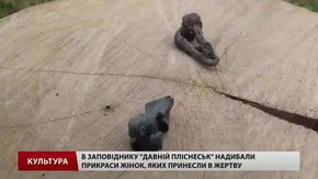В заповіднику «Давній Пліснеськ» знайшли прикраси жінок, яких принесли в жертву