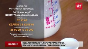 У Львові збирають гроші на дитяче харчування для малечі з різних міст України