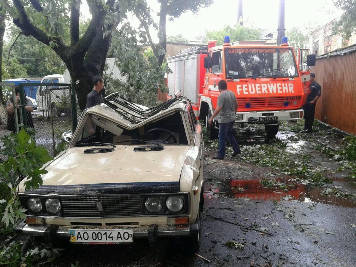 В Ужгороді через буревій дерева попадали на автомобілі