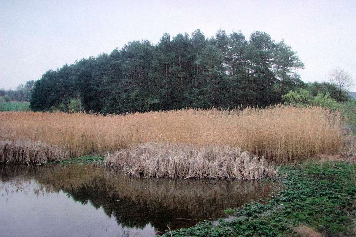 На Львівщині на аукціоні в оренду віддали шість ділянок із водоймами