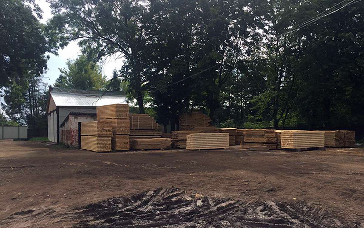 СБУ виявила на Львівщині більше 500 кубометрів незаконно вирубаної деревини