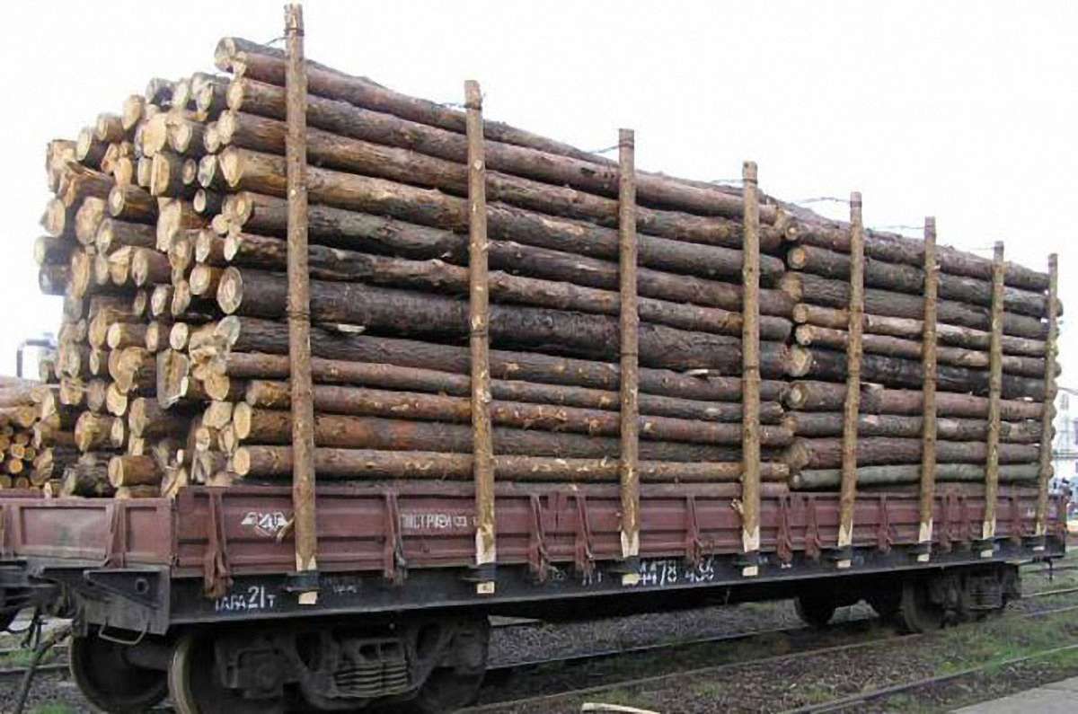 На Закарпатті суд конфіскував два вагони з лісом, який везли до ЄС