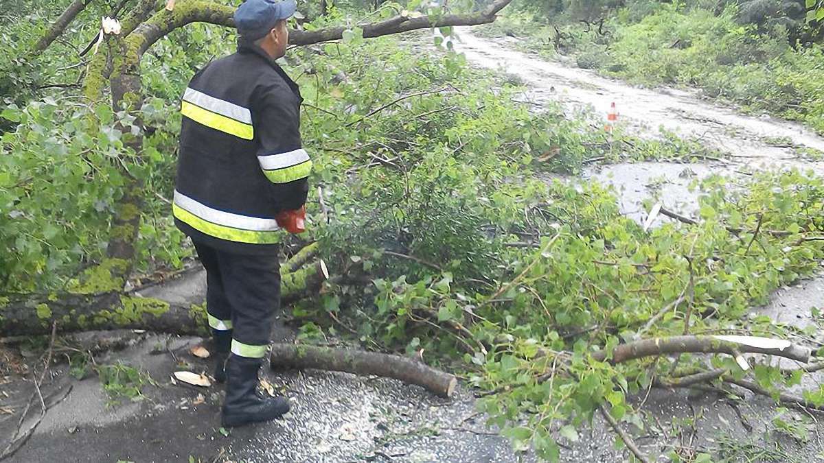 Негода наробила шкоди на Львівщині
