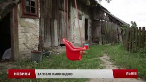 На Львівщині малюк та його дідусь померли від отруєння грибами