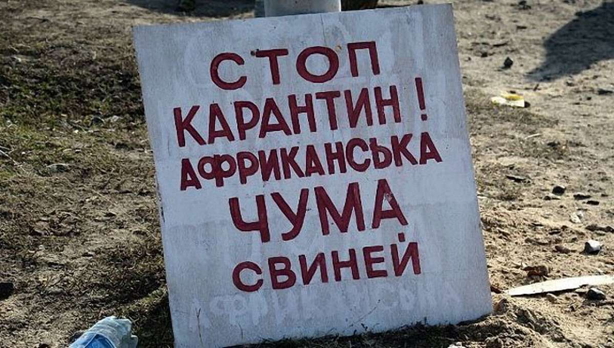 В Одеській та Чернігівській областях зафіксували спалахи африканської чуми свиней 