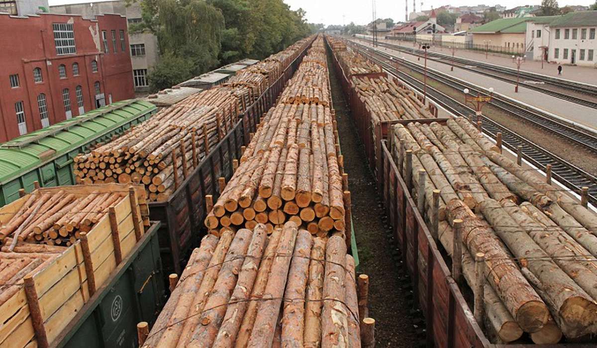 Держлісагентство оприлюднило шокуючі дані про масштаби вирубки лісів