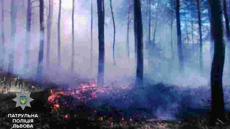 Львівські патрульні допомогли гасити лісову пожежу