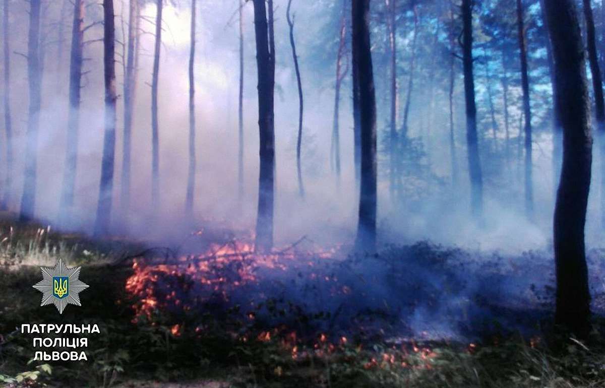 Львівські патрульні допомогли гасити лісову пожежу