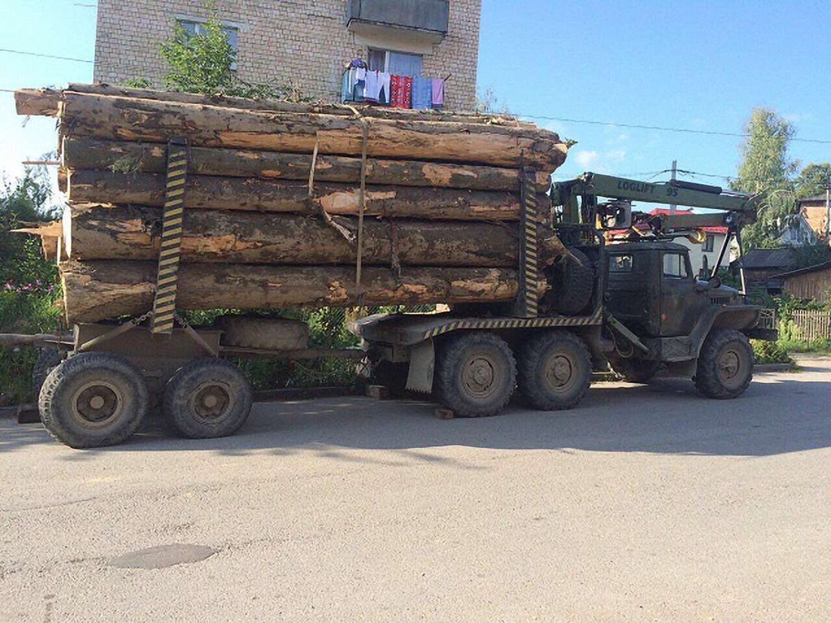 На Буковині затримали вантажівку з деревиною без дозвільних документів