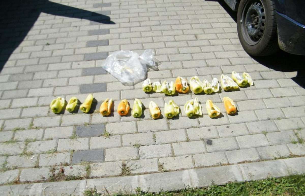 Українці спробували провезти до Угорщини півкілограма амфетаміну у паприці