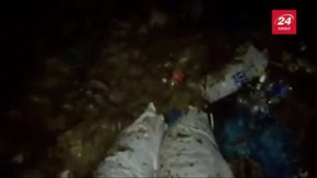 Село на Львівщині вночі закидали свинячими відходами