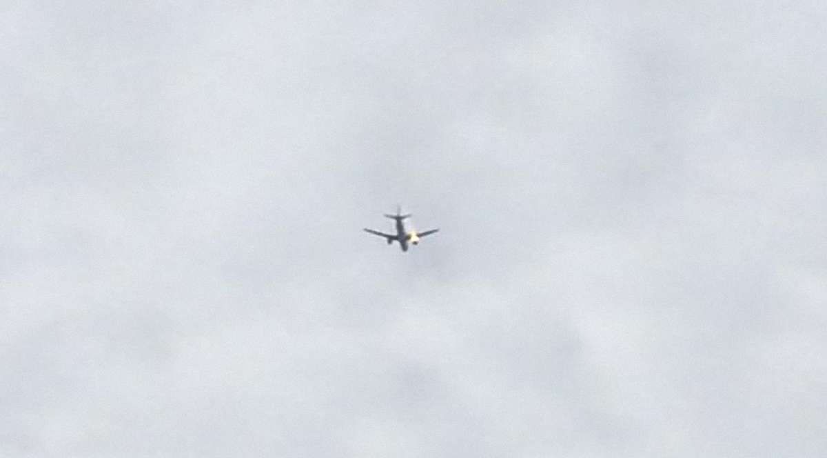 У Стамбулі аварійну посадку здійснив Airbus, у якого в повітрі загорівся двигун