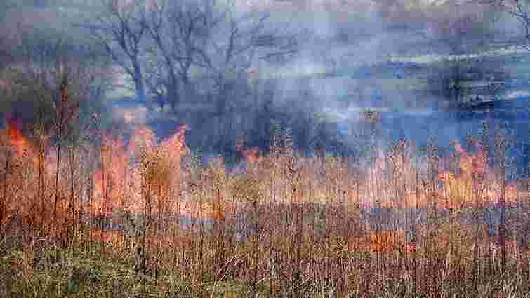 Спалювання стерні у селах Львівщини призвело до масштабних займань