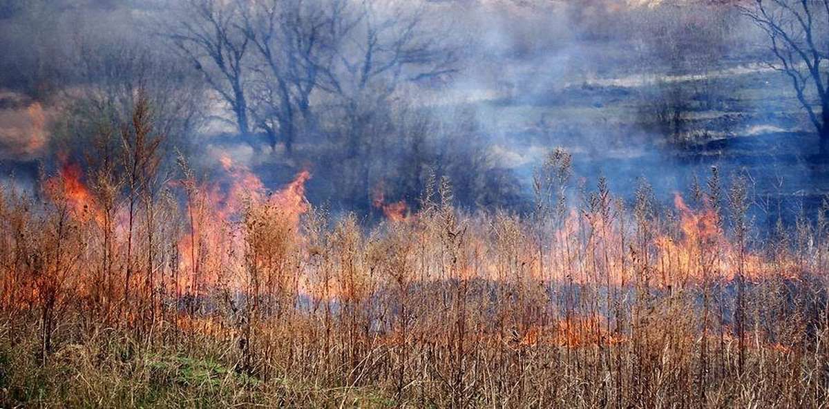 Спалювання стерні у селах Львівщини призвело до масштабних займань
