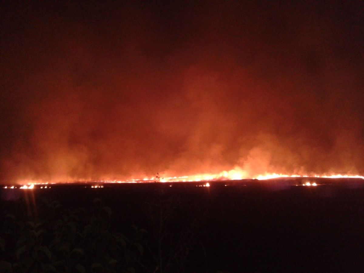 Поблизу Львова згоріло 3 га стерні