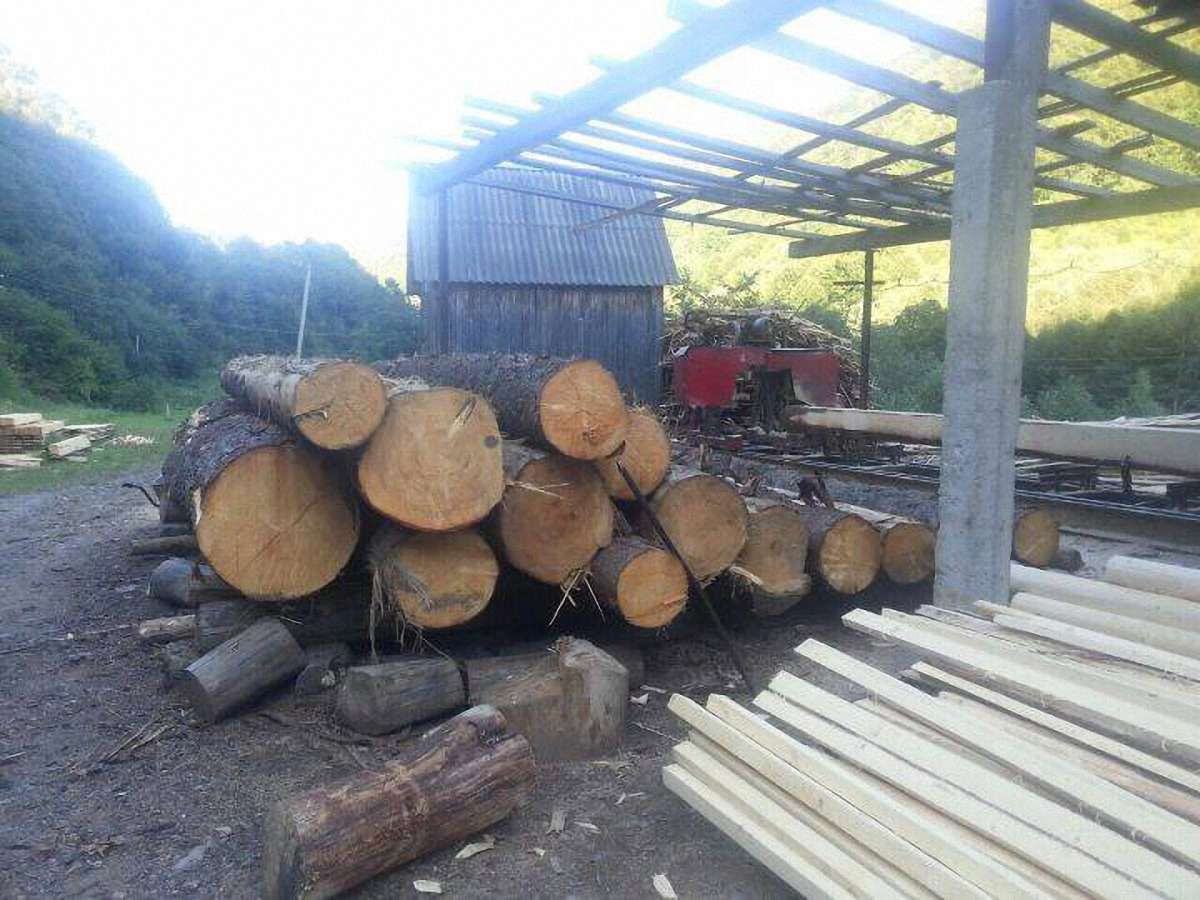 На Закарпатті виявили незаконну лісопилку