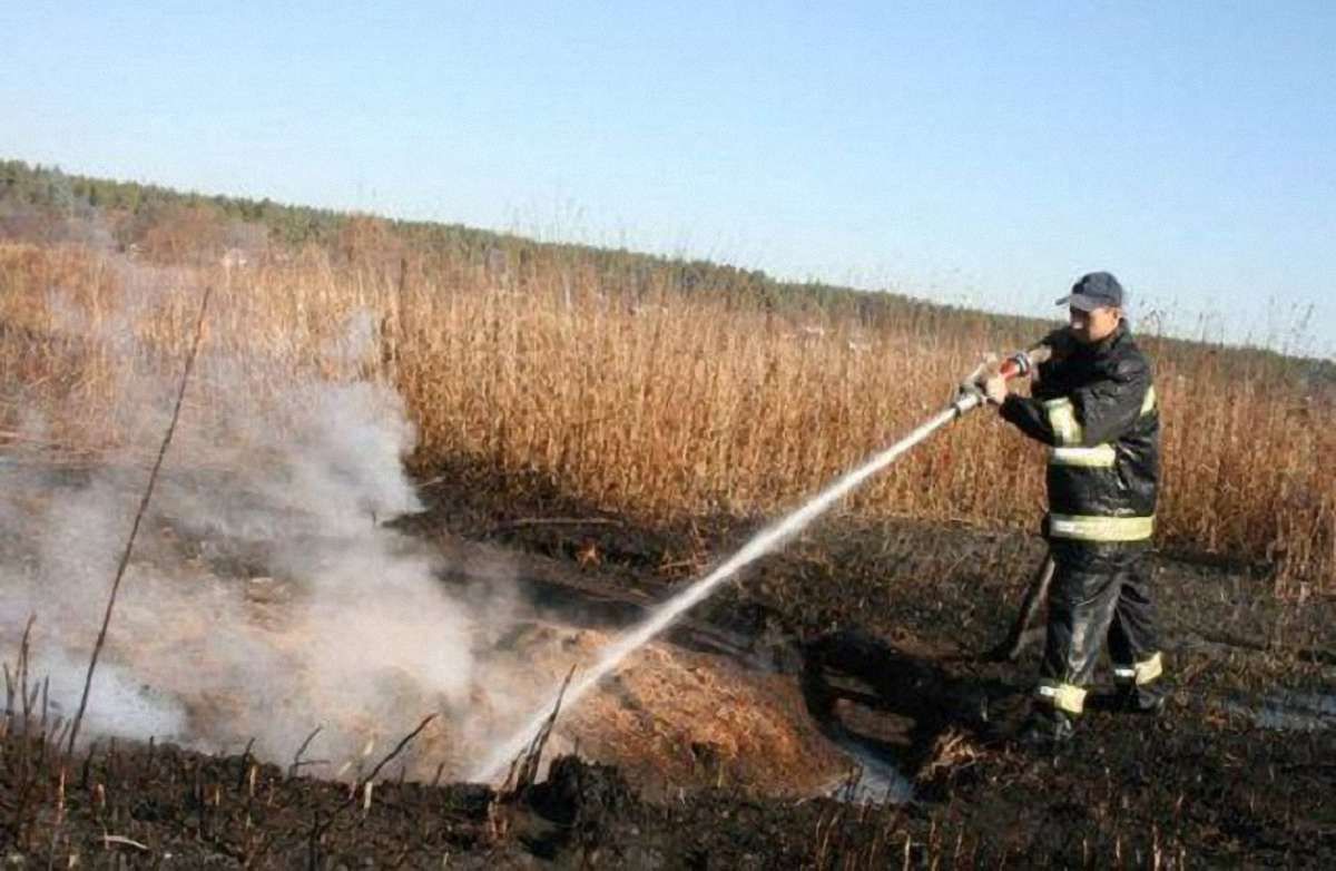 У Гамаліївці третій день гасять пожежу на торфовищі