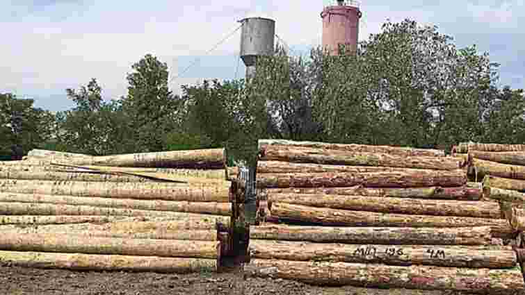 Поліцейські викрили схему незаконного експорту лісу в Одеській області