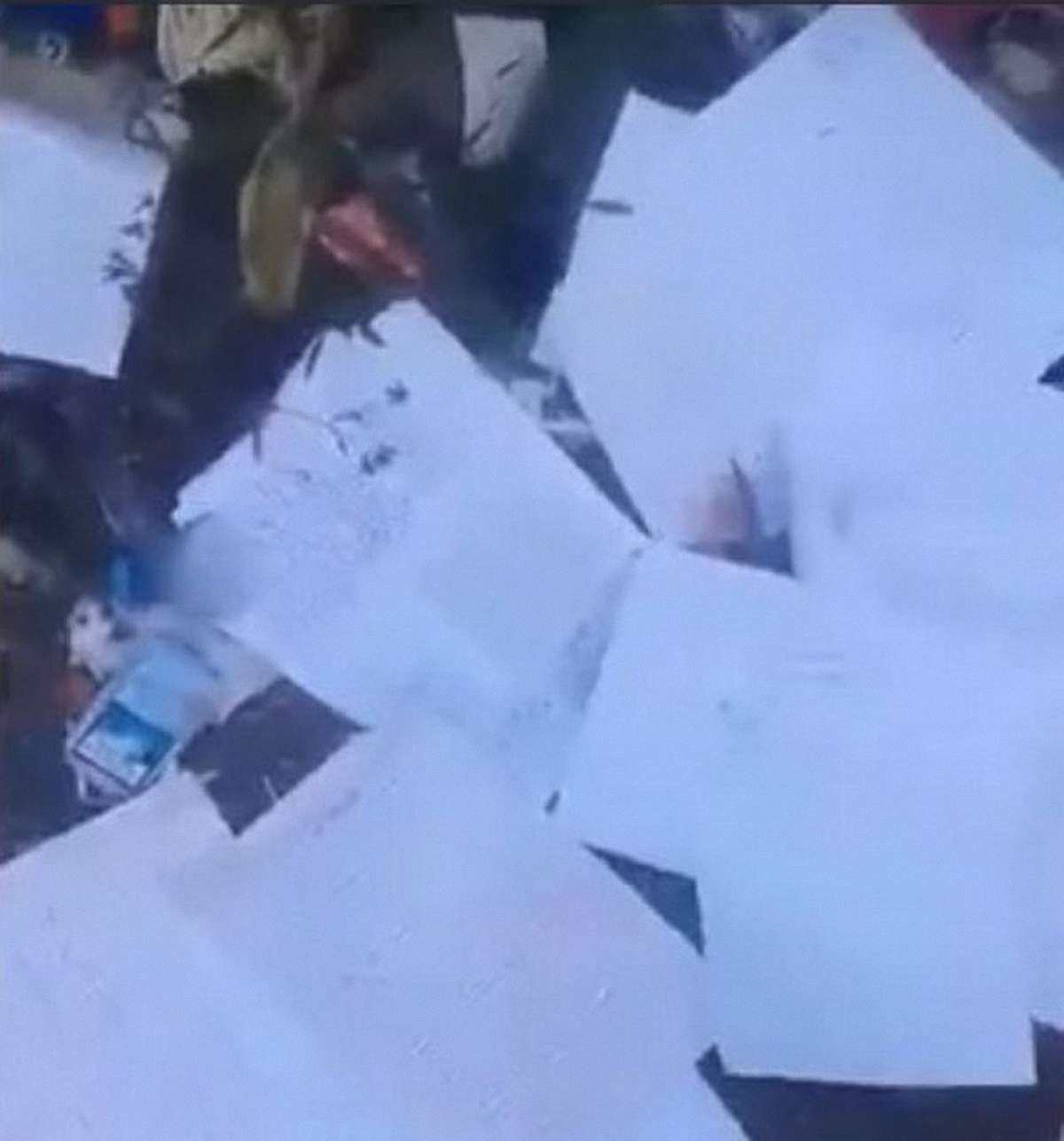 У Тернополі біля ставу знайшли велику кількість слідчих документів поліції