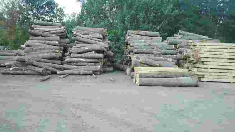 На Рівненщині вилучили понад 400 кубометрів незаконно вирубаної деревини