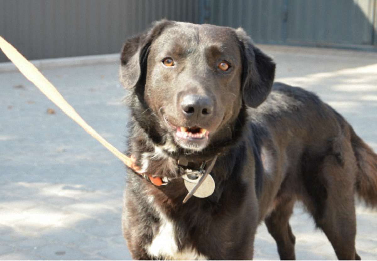 Малюк і Гарбузик