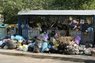 Проблему з вивозом сміття у Львові обіцяють вирішити впродовж дня